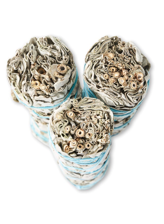 BLUE RIVER SAGE 9-Inch White Sage Smudge Sticks ~ Sustainably Harvested ~ for Smudging & Cleansing ~ Instructions Included (3 Pack) - Image 4
